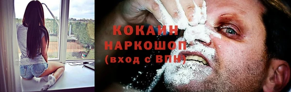 соль ск Бородино