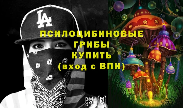 эйфоретик Бронницы