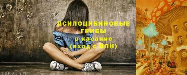 дживик Бугульма