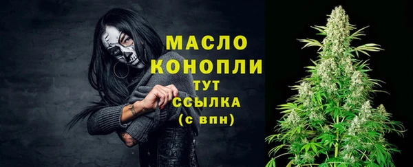 соль ск Бородино