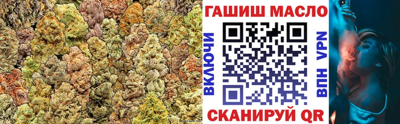 закладки  Киреевск  ТГК концентрат 