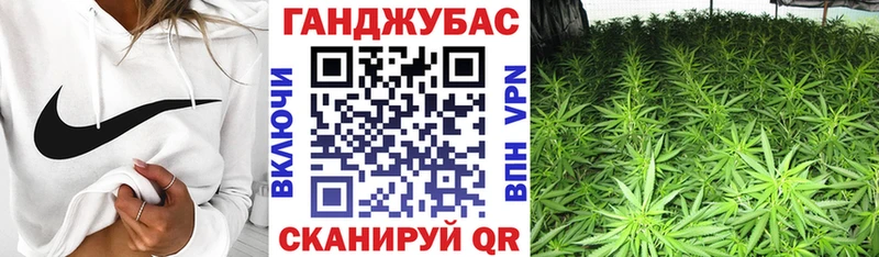 Каннабис конопля Киреевск